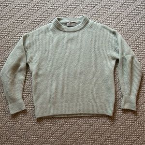 Everlane Oversized Alpaca crew in Lily Green